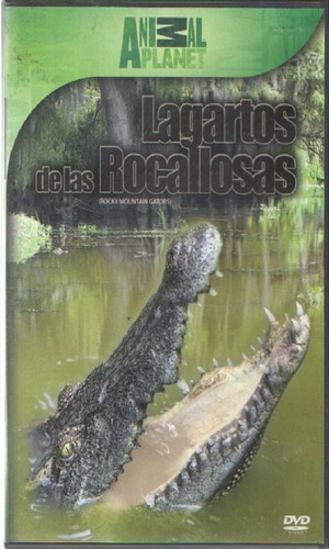 Legoz Zqz Lagartos De Las Rocallos- Dvd - Fisico - Ref- 943