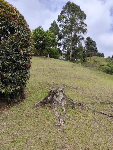 Espectaculares Lotes En Guarne