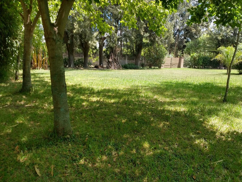 Imagen 7 de 14 de Lote Venta La Reja