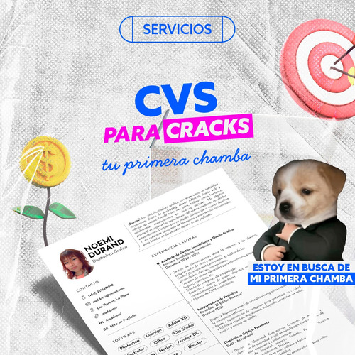 Diseño De Cv Profesional | Curriculum Vitae 2024