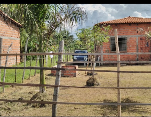 Imagem 2 de 6 de Vendo Um Sítio Localizado Em Bacabeira Tem Dois Quartos Banh