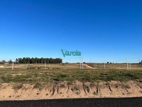 Imagen 5 de 12 de Terrenos En Pando, Venta Segunda Etapa, Financiados A Pura Cuota, Varela Inmobiliaria