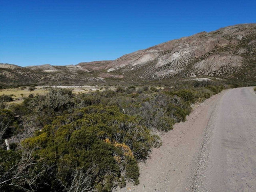 Imagen 2 de 11 de Se Venden Hermosas Parcelas En La Patagonia