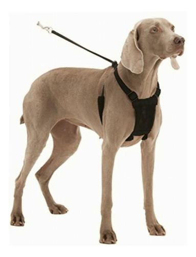 Mesh Anti Pull Harness Size: Large / Xlarge 2 H X 4.75 W Color Negros