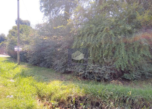 Imagen 4 de 5 de Lote En Venta - Villa Rosa Sobre Calle G. Palacio