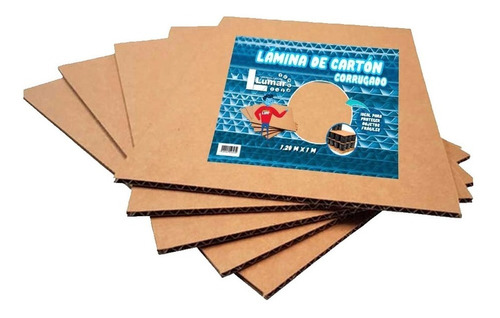 20 Láminas De Cartón Corrugado Sencillo De 1m X 1.20m