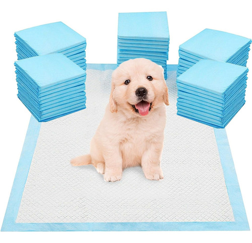 100 Pañales Tapete Entrenador Para Perro Almohadillas 33x45