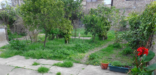 Imagen 6 de 6 de Venta Casa Con Local Malvinas Argentinas
