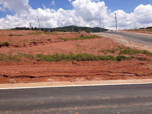 Imagem 2 de 19 de Comercial Para Venda, 0 Dormitórios, Laranjeiras - São Paulo - 605