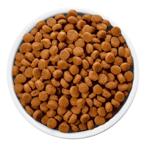 Dry dog food for urinary health online