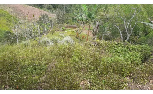Se Vende Finca Vda La Julia Montenegro Quindío