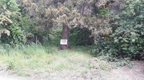 Imagen 18 de 18 de Terreno - Cerro Runge