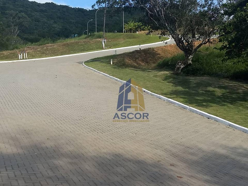 Imagem 10 de 18 de Terreno Residencial À Venda, Itacorubi, Florianópolis. - Te0152