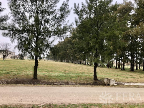 Imagen 14 de 30 de Venta De Terreno En Campos De Roca Ii (27850)