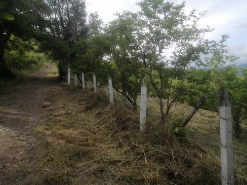 Lote En La Mesa, San Joaquín, Vereda Baltimore
