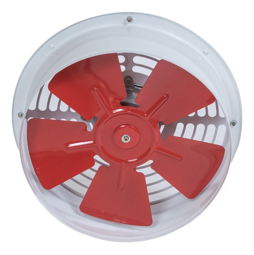 Imagen 2 de 10 de Extractor Semi Industrial P/ Cocina/baño 30 Cm Para Pared