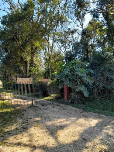 Imagem 2 de 15 de Chácara Para Venda, Timbu Velho, 4 Dormitórios, 1 Suíte, 2 Banheiros, 4 Vagas - 00301_2-1193112