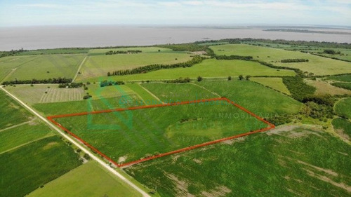 Imagen 7 de 8 de Martin Chico, Colonia - Campo Agricola A 20km De Carmelo