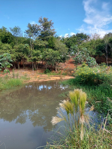 Imagem 7 de 9 de Chácara De 13.709 M² Com Açude À Venda Em Santa Terezinha De Itaipu/pr