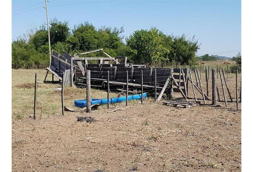 Imagen 8 de 24 de Campo En San Vicente