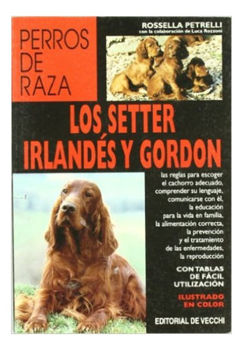 Los Setter Irlandes Y Gordon - Perros De Raza