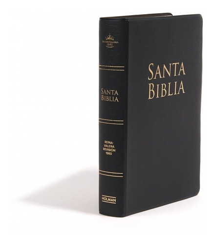 Biblia Rvr-1960 Negro Letra Grande Tamaño Manual (9832)