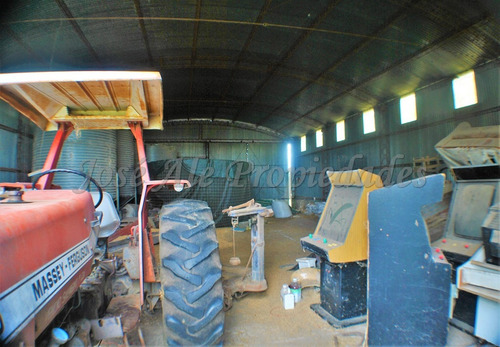 Imagen 4 de 14 de En Venta Campo De 137 Ha Colonia Del Sacramento