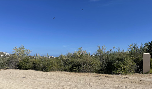 Block 10 Zacatitos, Lot 11