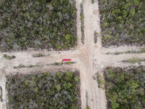 Imagen 6 de 13 de Venta Terreno En Tulum Cerca Del Centro