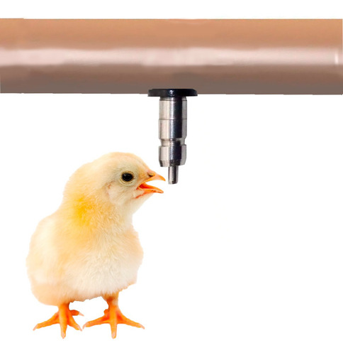 Bebedouro Automático Aves Tipo Niple Em Inox Com Borracha