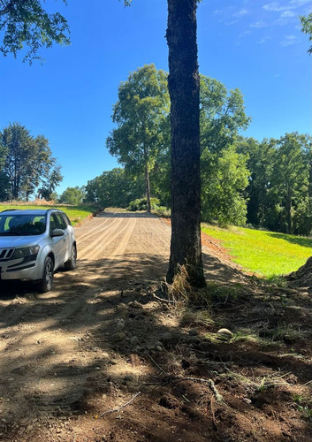Parcelas En Frutillar, Bosques Y Praderas. Financiamiento