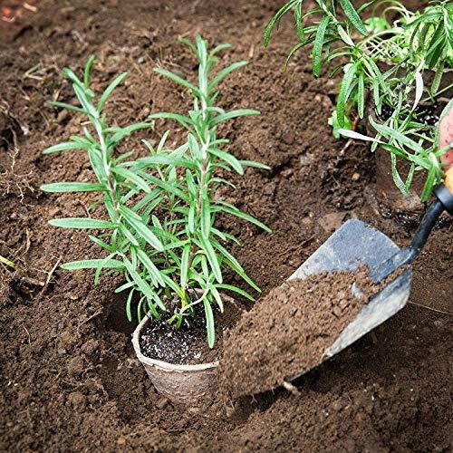Imagen 6 de 9 de M-aimee Plant Starter Turba Macetas, Macetas Biodegradables