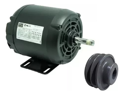 Motor 2 Cv 2cv 2 Pólos 220/380v Ip21 Weg Com Polia - Novo