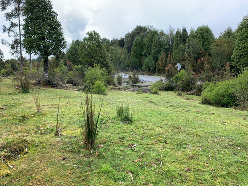 Cercana A RÃo, Orilla De Camino.