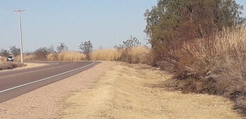 Vendo Importante Finca San Rafael Mendoza