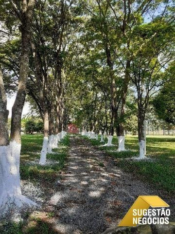 Chácara Região Da Castelo Branco 5 Mil M2 - 3227