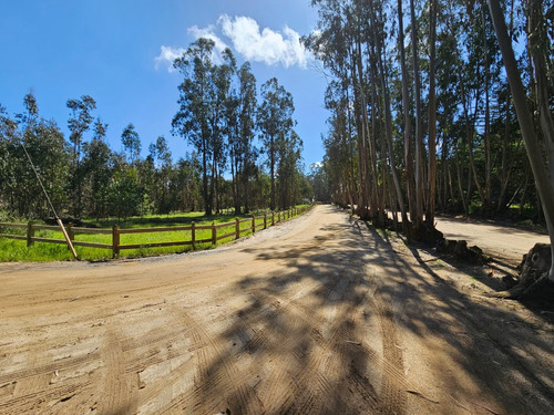 Hacienda Algarrobo, 5000 M2,portería, Rol, Red De Luz Y Agua
