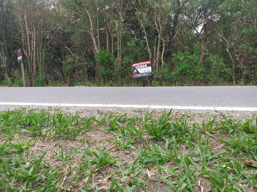Terreno En Venta En Zona Comercial, Escucho Ofertas!