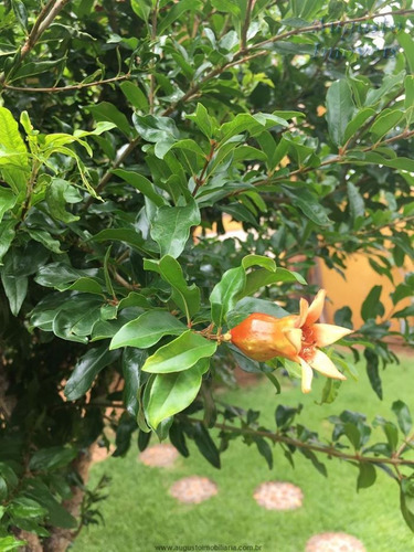 Imagem 18 de 24 de Chácaras Em Condomínio À Venda Em Atibaia/sp - Compre O Seu Chácaras Em Condomínio Aqui! - 1383771