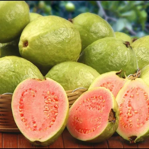 1.950 Semillas De Árbol Guayaba Roja