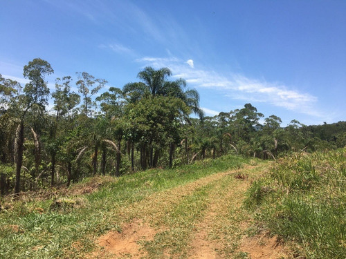 Imagem 4 de 10 de Gb- Terreno Com Acesso A Represa