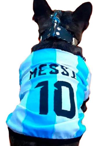Remeras Camisetas Ropa Para Perros Mascotas Argentina!