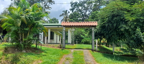 Imagen 2 de 13 de Vendo Casa En Portón Iberia Siquirres Limón