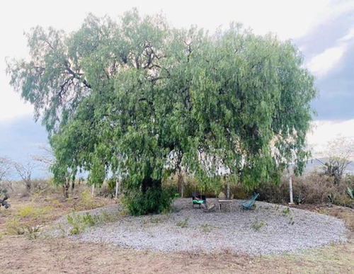 Terrenos En Venta, Rancho Los Huertos, Mineral De Pozos