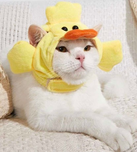 Gorro Disfraz Para Mascotas Pequeñas Diseño De Pato