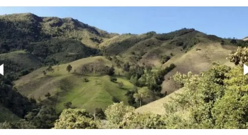 Bloque De 123 Hectareas Para Aguacate Hass En Abejorral