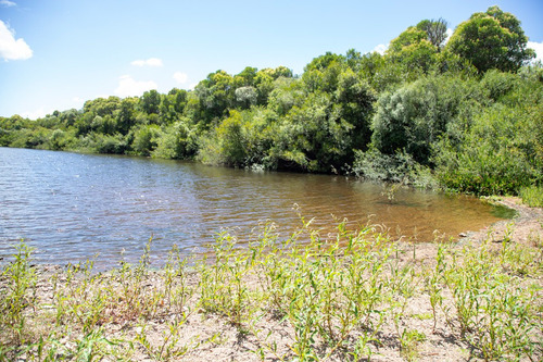 Venta Campo 20 Has