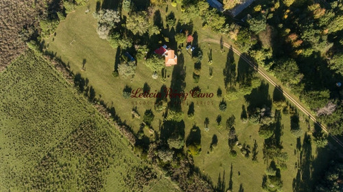 Imagen 3 de 22 de Venta Chacra En San Carlos 2 Has , Abra De Perdomo, Los Ceibos