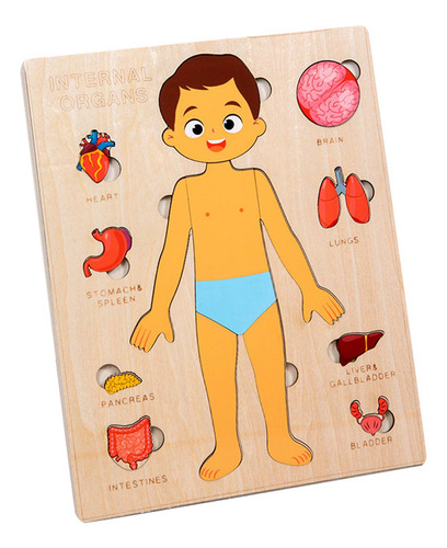 Puzzles Montessori: Cuerpo Humano, Órgano Extraíble
