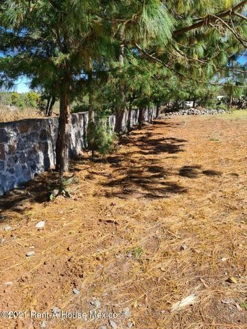 Imagen 11 de 12 de Terreno En Venta En Huasca De Ocampo Centro 214022isg